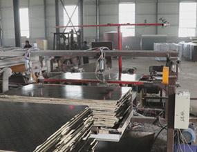 建筑模板全自動(dòng)鋸邊機