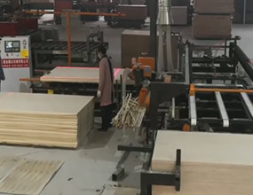 膠合板自動(dòng)鋸邊機